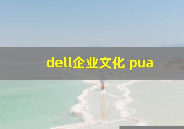 dell企业文化 pua